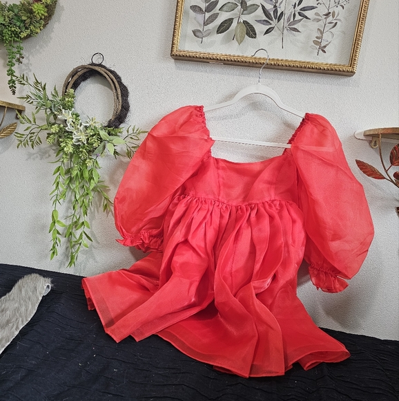 SELKIE Winter Red Puff Dress, Cute Viral Ruby Organza Princess Dress - Picture 9 of 12